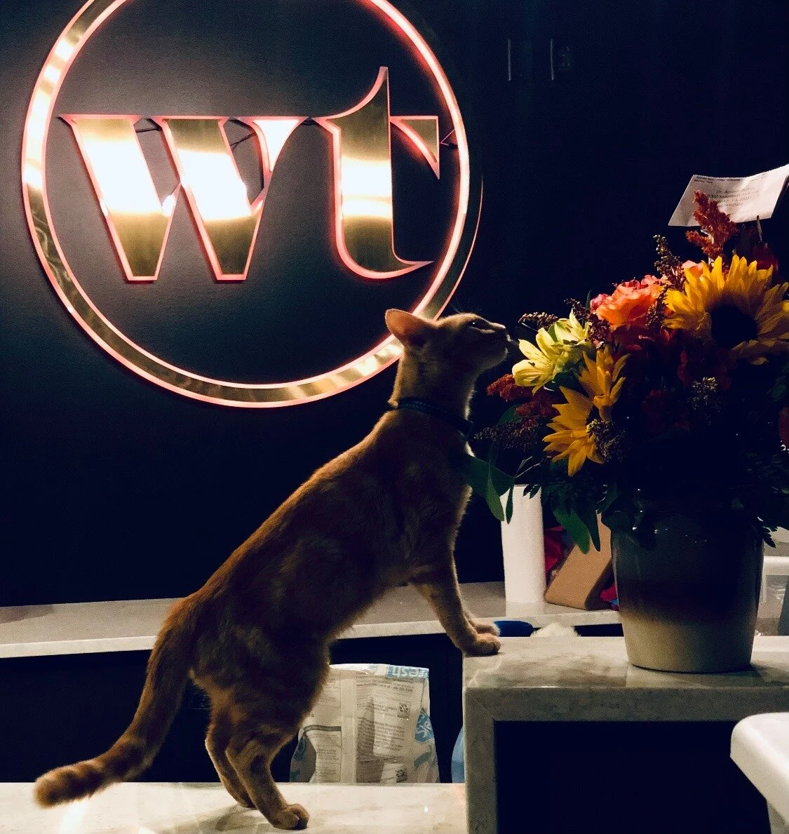 152688497_973355283202799_2528418507818538305_n