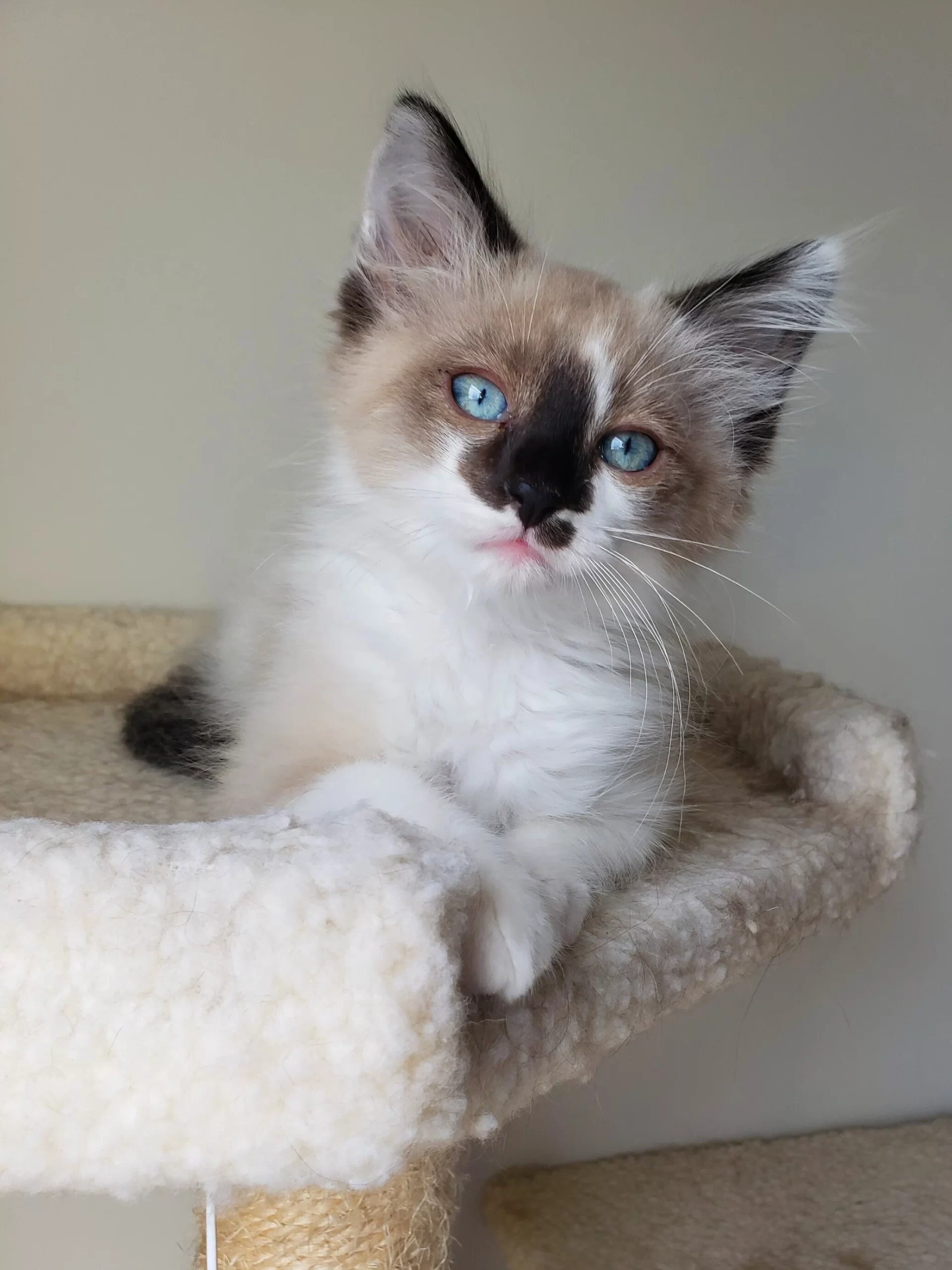 inbound7531458063531119793